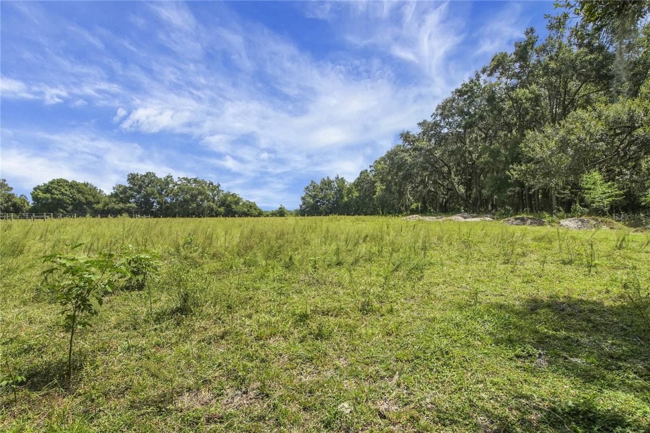 10757 County Road 223, Oxford, FL 34484 Photo