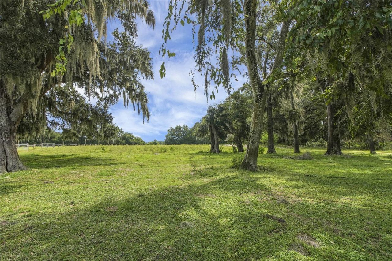 10757 County Road 223, Oxford, FL 34484 Photo