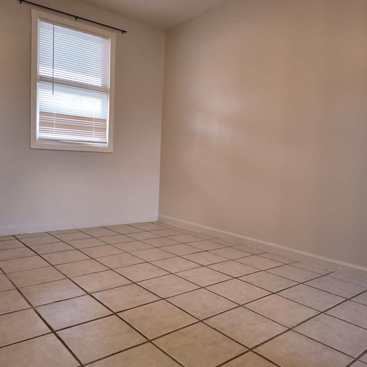 307 Flagg St. Photo 13