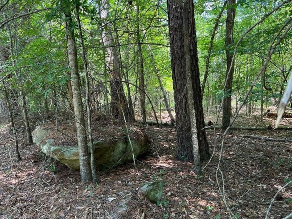 0 Crooked Creek Bay Road, Eatonton, GA 31024