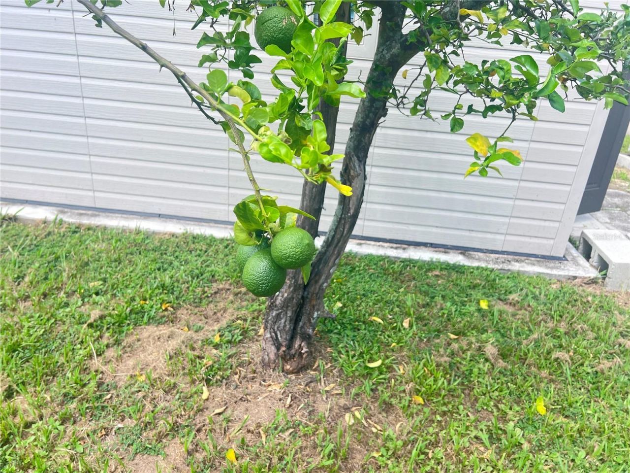 3612 71st Street N, Saint Petersburg, FL 33710 Photo