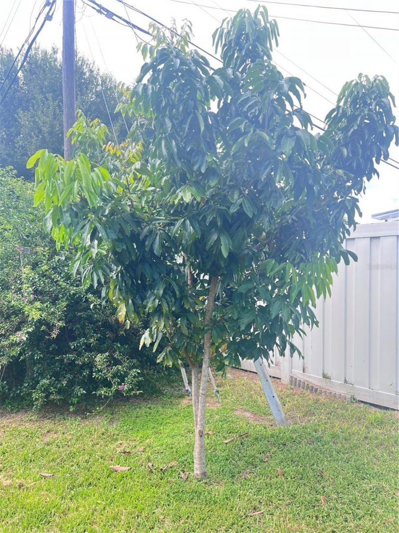 3612 71st Street N, Saint Petersburg, FL 33710 Photo