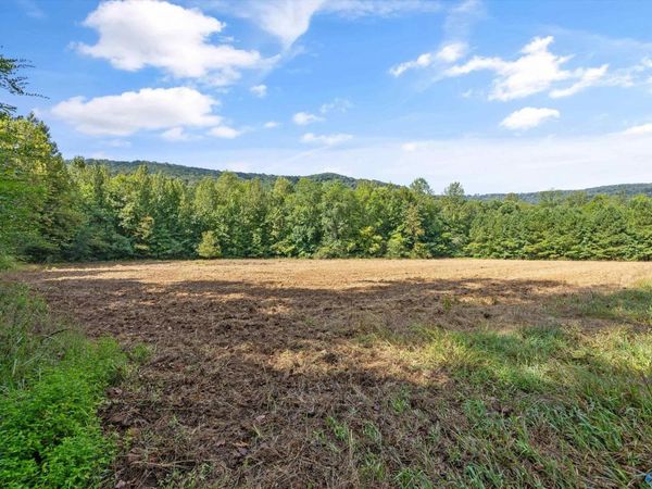 3818 -5 County Road 4, Unit Tract 5, Hollytree, AL 35751