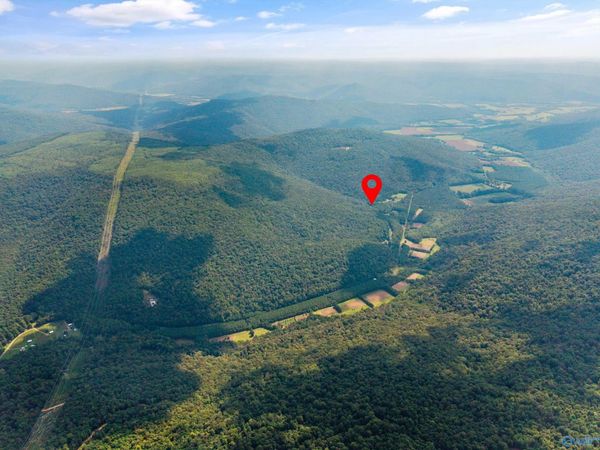 3818 -6 County Road 4, Unit TRACT 6, Hollytree, AL 35751