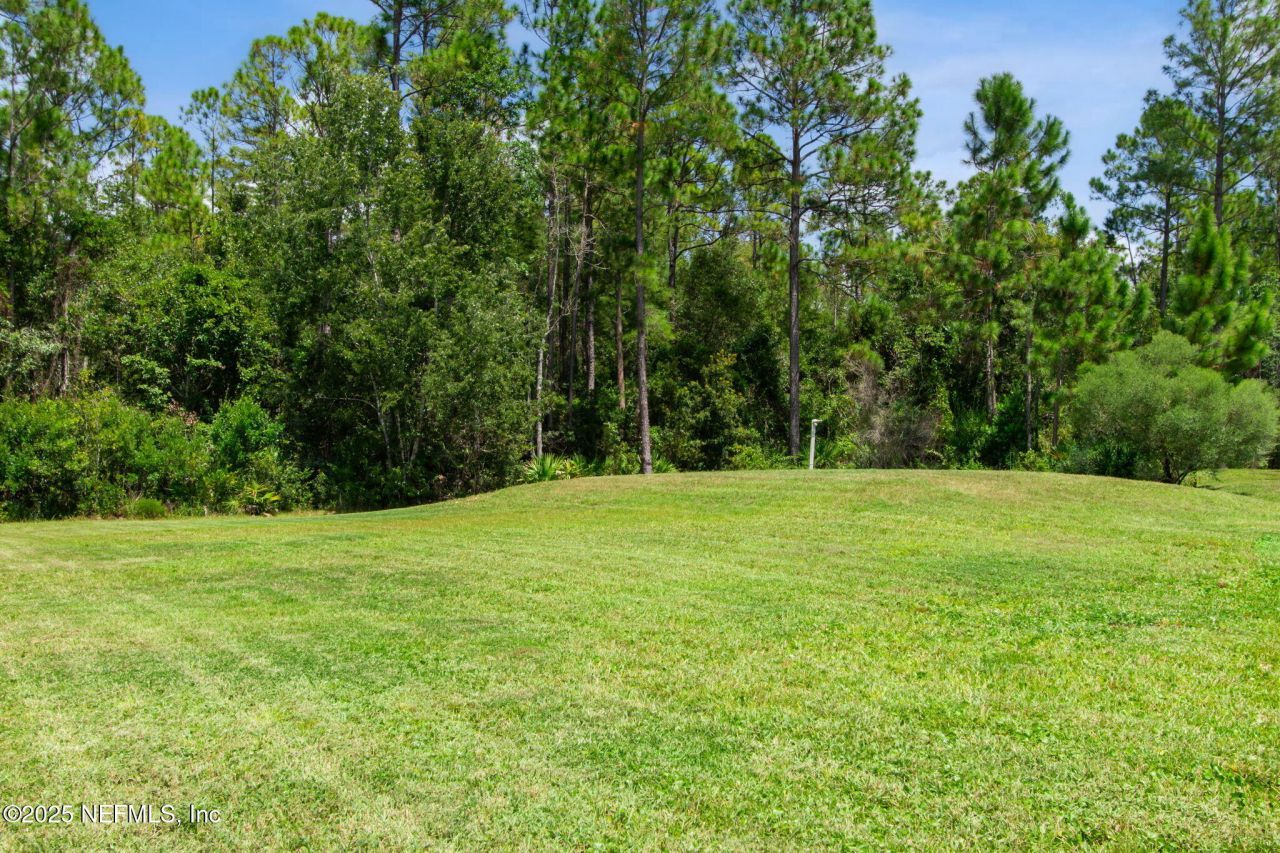 11254 Saddle Club Drive, Jacksonville, FL 32219 Photo