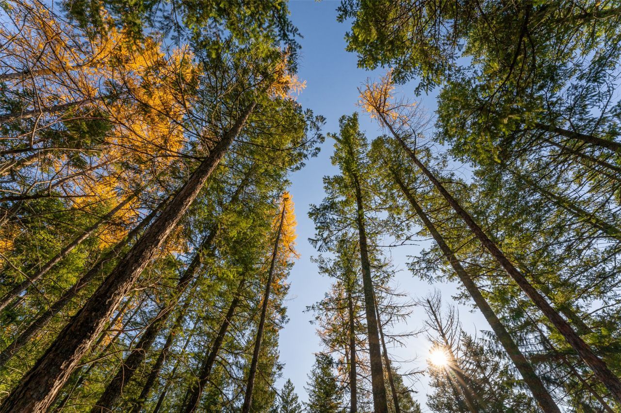 150 & 156 Peters Creek Way, Kalispell, MT 59901 Main Photo