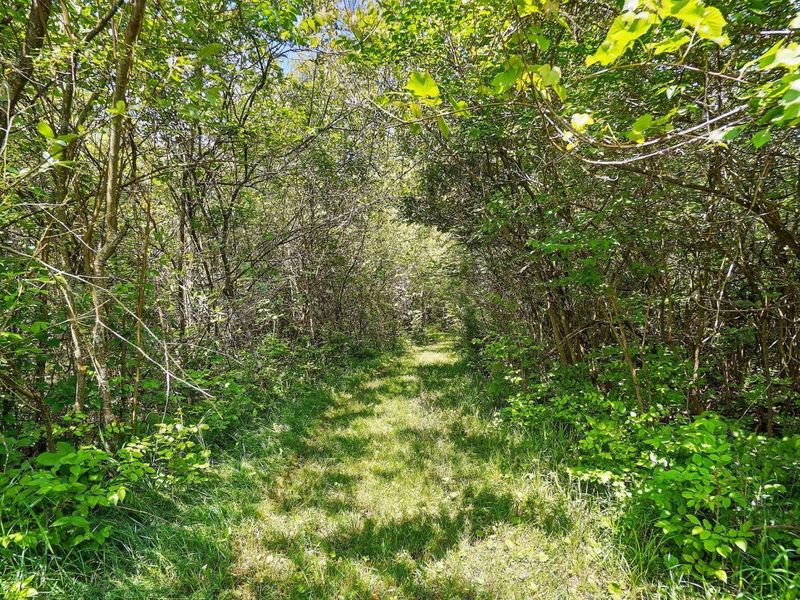 16270 Cook Yankeetown Road NE, Mount Sterling, OH 43143 Photo 29