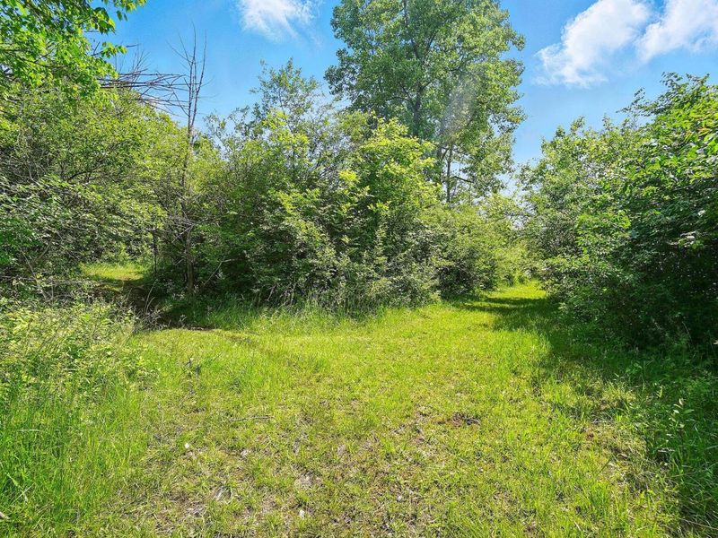 16270 Cook Yankeetown Road NE, Mount Sterling, OH 43143 Photo 30