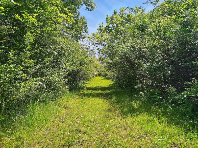 16270 Cook Yankeetown Road NE, Mount Sterling, OH 43143 Photo 31