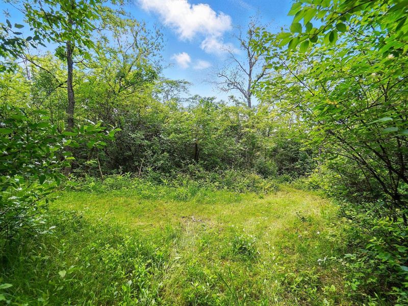 16270 Cook Yankeetown Road NE, Mount Sterling, OH 43143 Photo 33