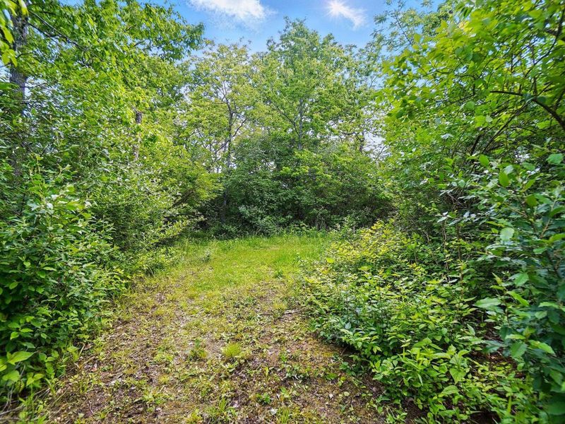 16270 Cook Yankeetown Road NE, Mount Sterling, OH 43143 Photo 34