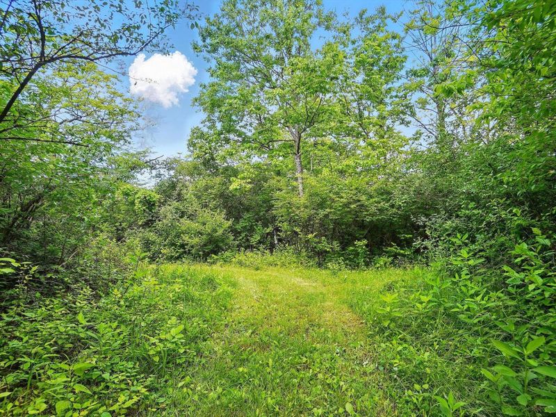 16270 Cook Yankeetown Road NE, Mount Sterling, OH 43143 Photo 35