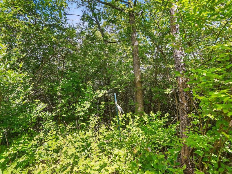 16270 Cook Yankeetown Road NE, Mount Sterling, OH 43143 Photo 36