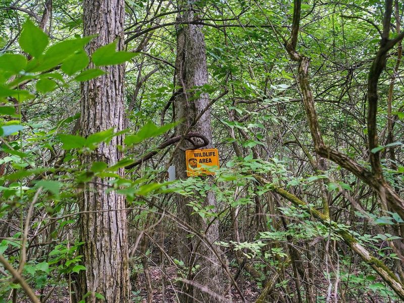 16270 Cook Yankeetown Road NE, Mount Sterling, OH 43143 Photo 37