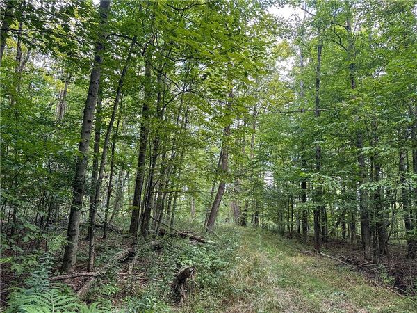 8190 Billing Drive, Almond, NY 14804