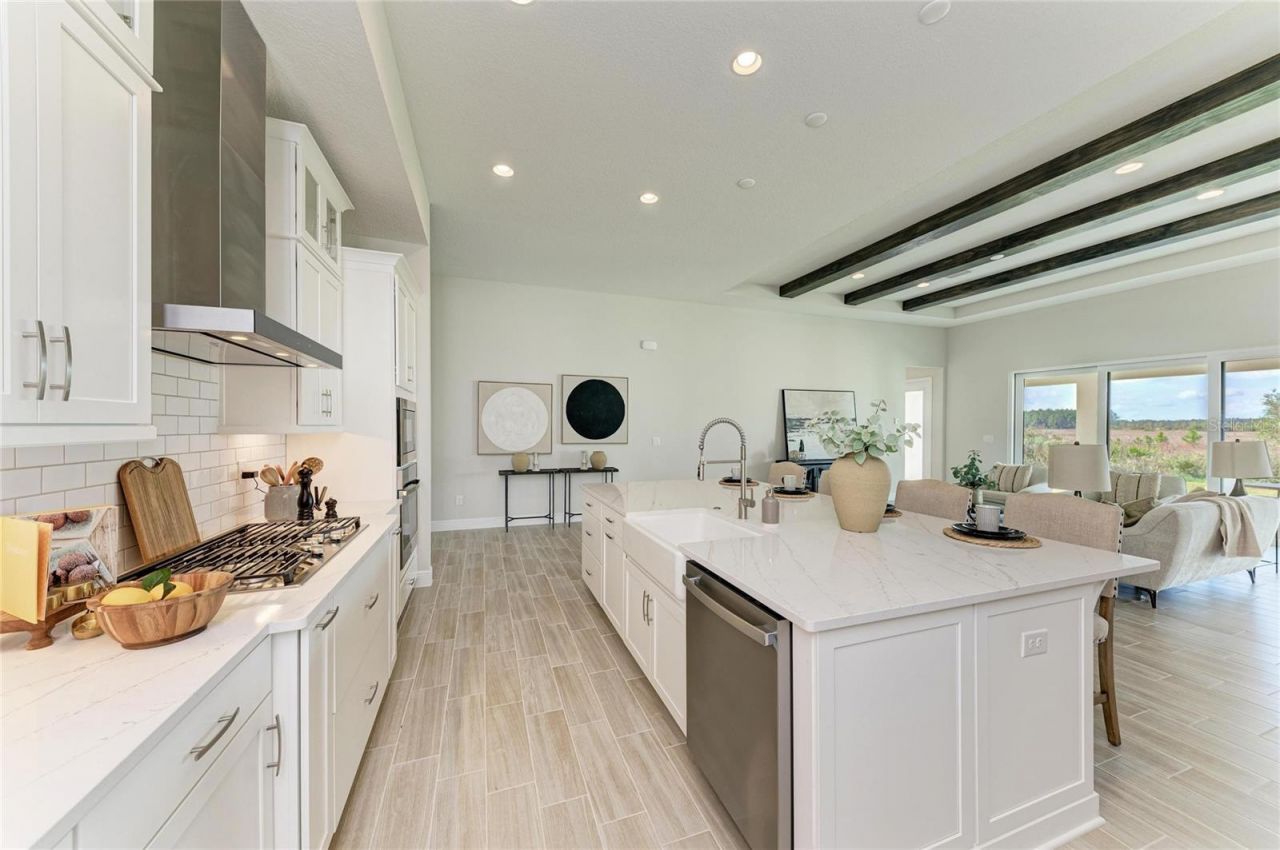 35418 Big Hawk Drive, Zephyrhills, FL 33541 Photo