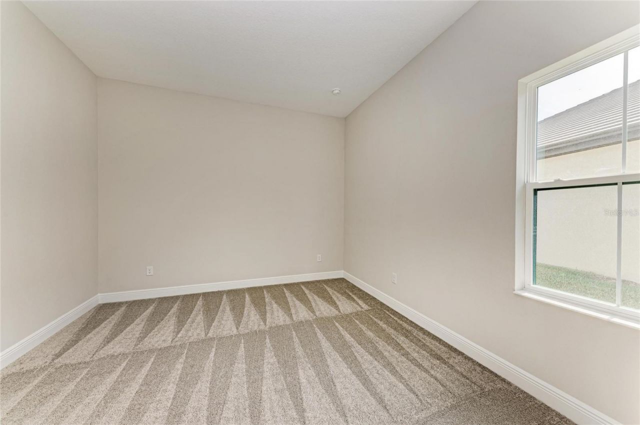 35418 Big Hawk Drive, Zephyrhills, FL 33541 Photo