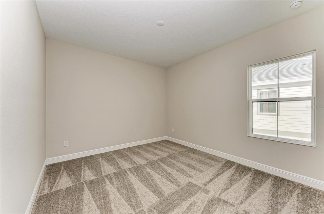 35418 Big Hawk Drive, Zephyrhills, FL 33541 Photo