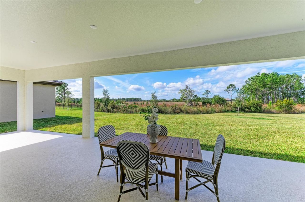 35418 Big Hawk Drive, Zephyrhills, FL 33541 Photo