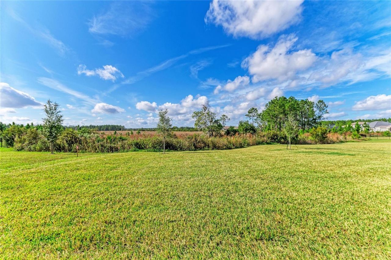 35418 Big Hawk Drive, Zephyrhills, FL 33541 Photo