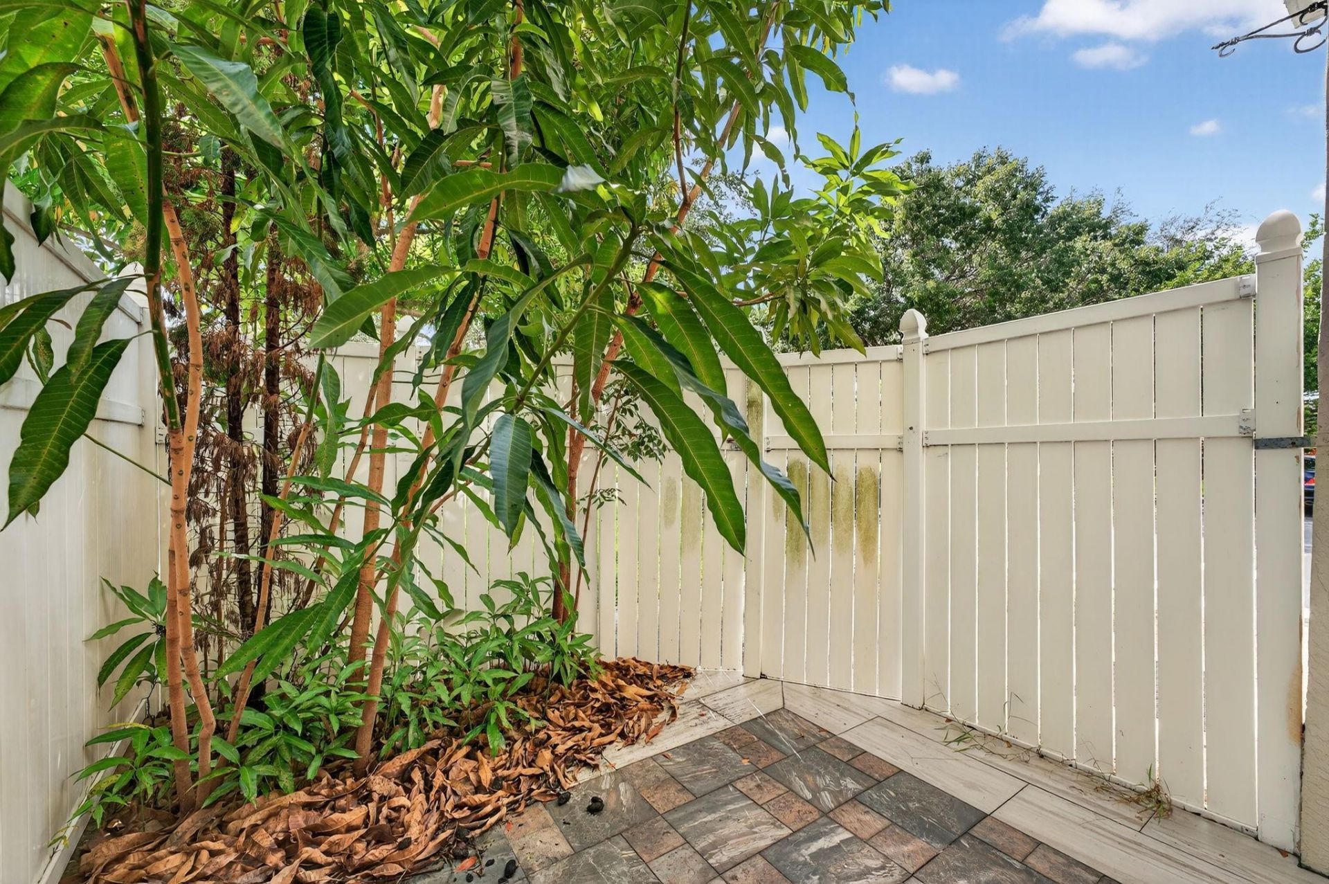 3007 NW 5th Terrace, Pompano Beach, FL 33064 Photo