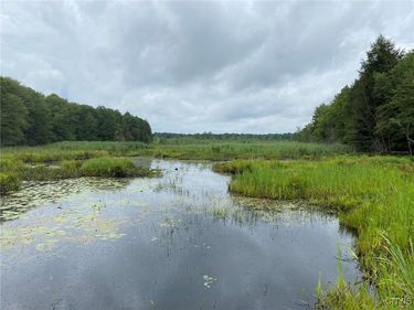 Fisherman S Bridge Road, Williamstown, NY 13493