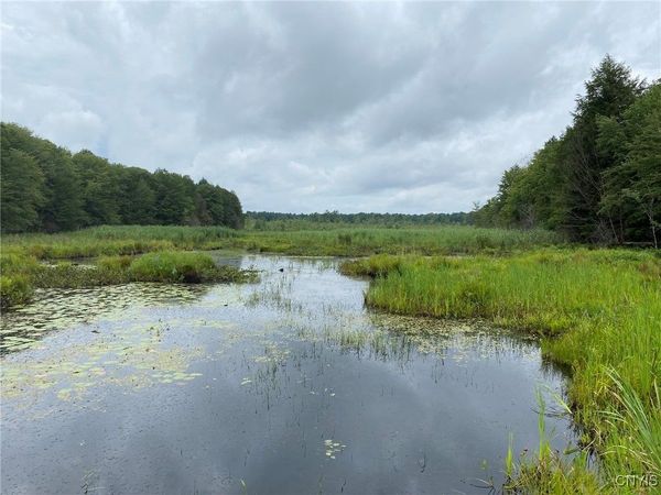 Fisherman S Bridge Road, Williamstown, NY 13493