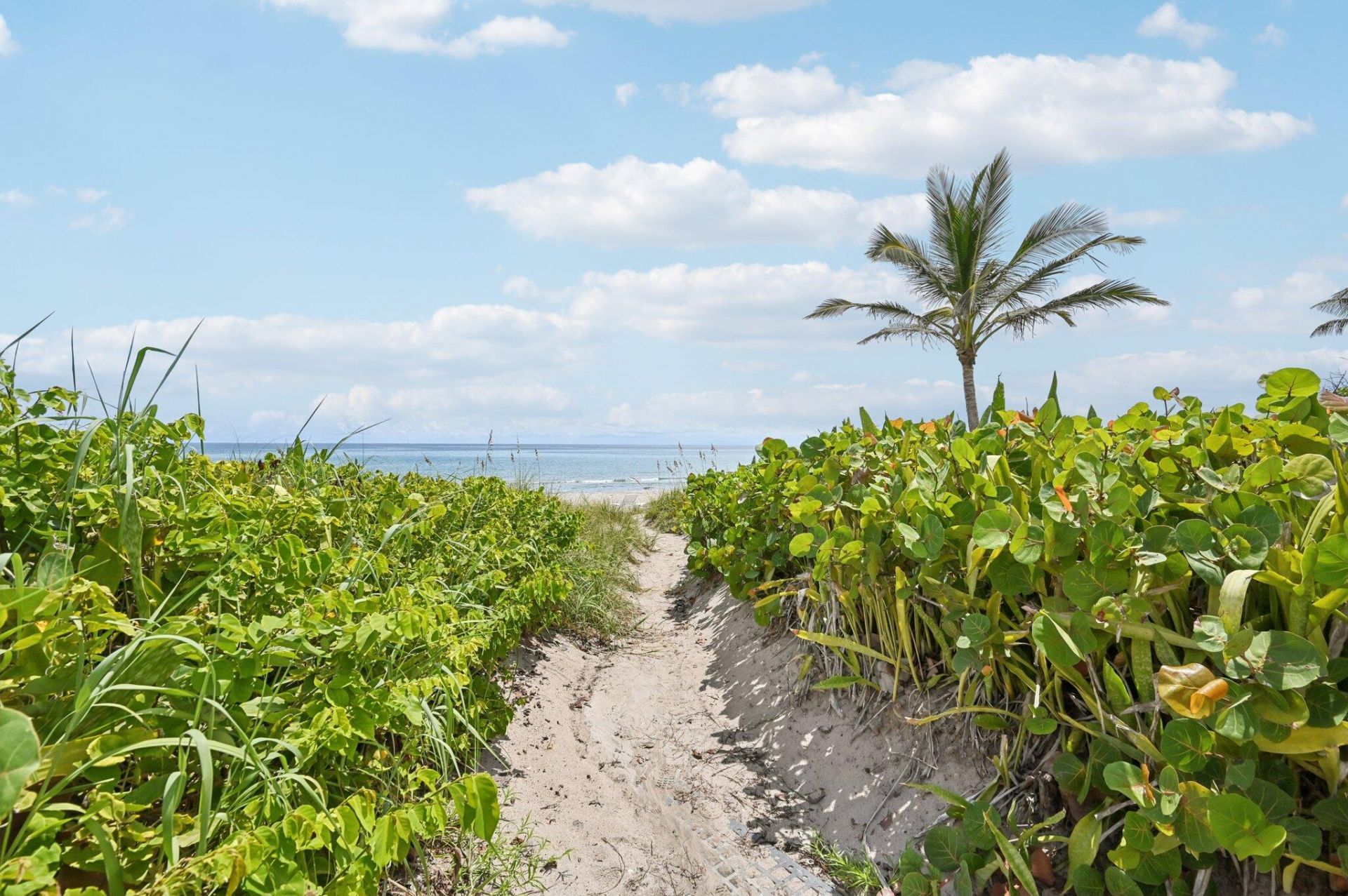 3224 S Ocean Boulevard, Unit 110-B, Highland Beach, FL 33487 Photo