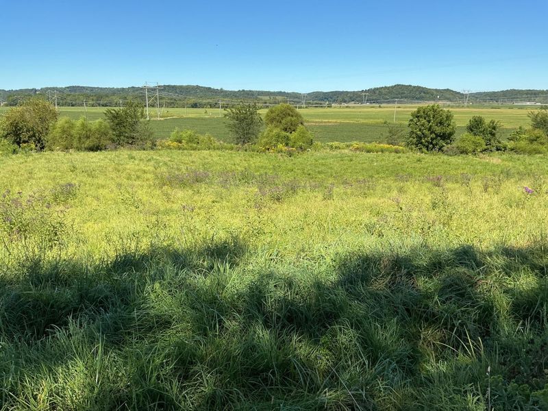 9280 Lentz Road , Frazeysburg, OH 43822 Photo 7