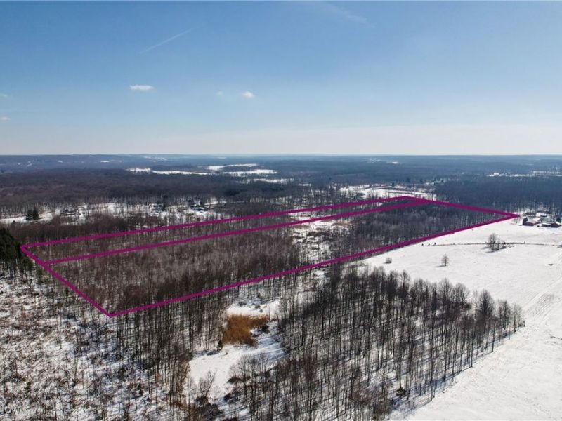 6027 State Route 88, Kinsman, OH 44428 Photo 12