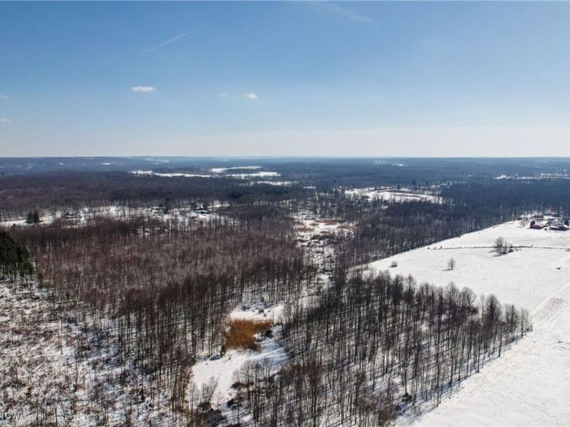 6027 State Route 88, Kinsman, OH 44428 Photo 13