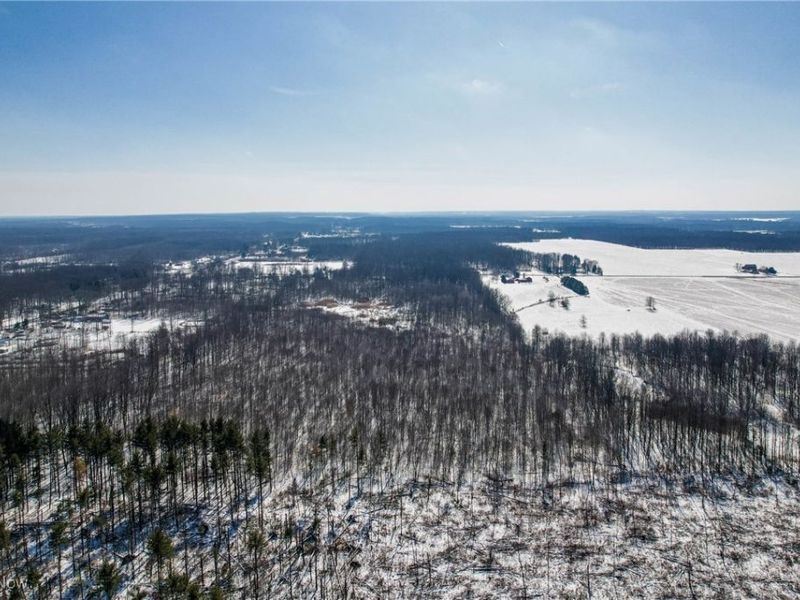 6027 State Route 88, Kinsman, OH 44428 Photo 15