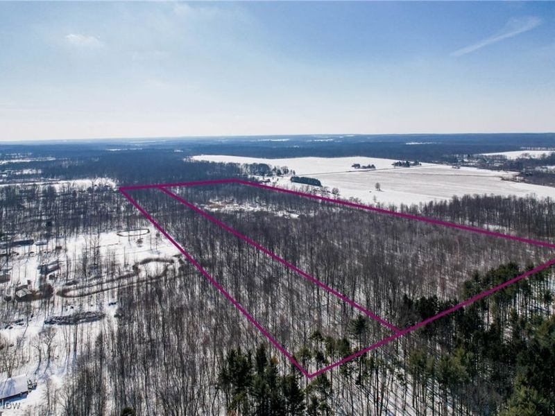 6027 State Route 88, Kinsman, OH 44428 Photo 16