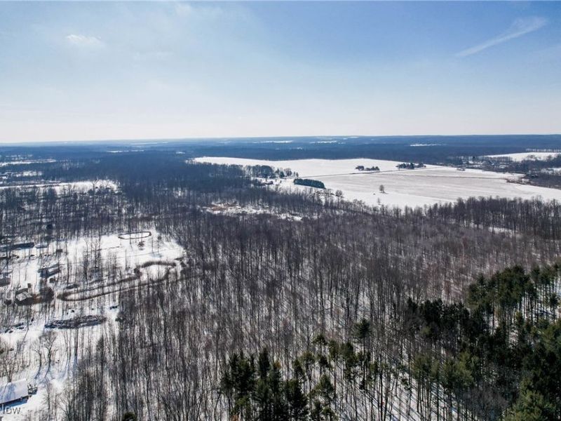 6027 State Route 88, Kinsman, OH 44428 Photo 17