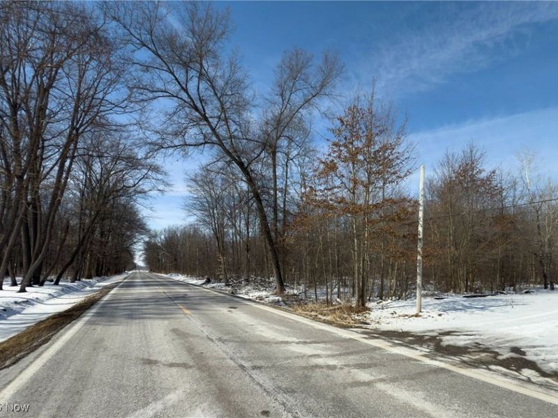 6027 State Route 88, Kinsman, OH 44428 Photo 25