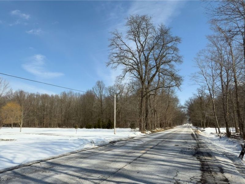 6027 State Route 88, Kinsman, OH 44428 Photo 26