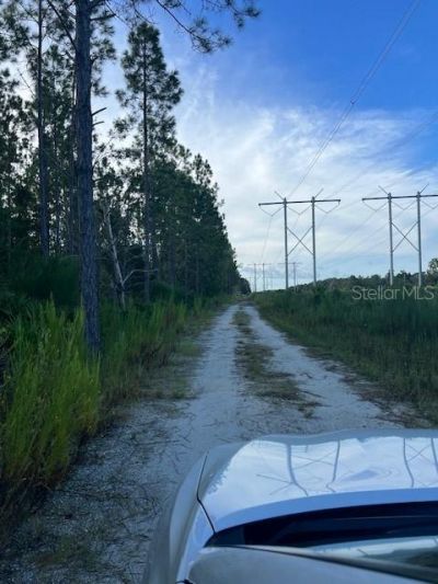 1117 Piney Woods Trail, Osteen, FL 32764 Photo