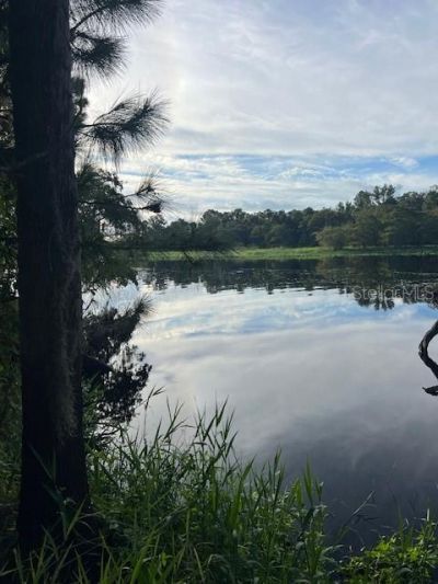 1117 Piney Woods Trail, Osteen, FL 32764 Photo