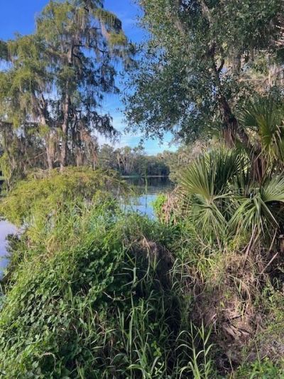 1117 Piney Woods Trail, Osteen, FL 32764 Photo