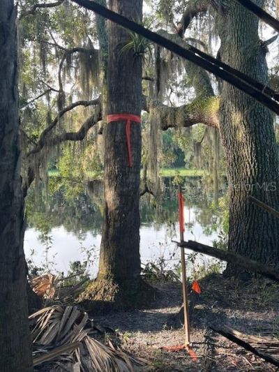 1117 Piney Woods Trail, Osteen, FL 32764 Photo