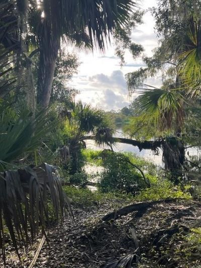 1117 Piney Woods Trail, Osteen, FL 32764 Photo