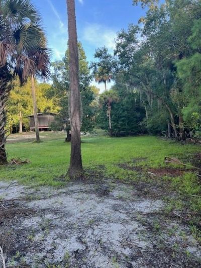 1117 Piney Woods Trail, Osteen, FL 32764 Photo