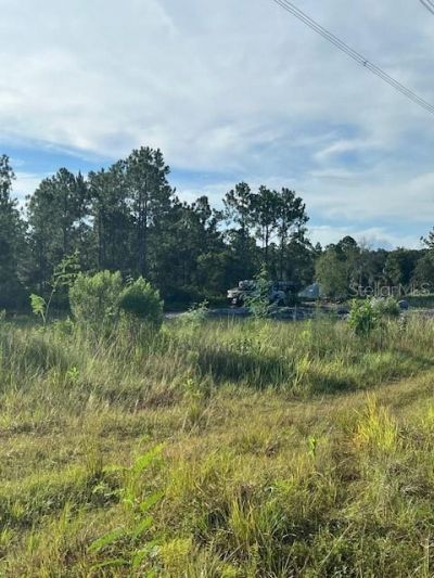 1117 Piney Woods Trail, Osteen, FL 32764 Photo