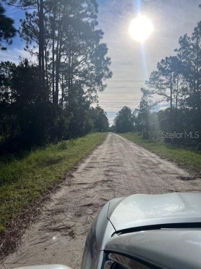 1117 Piney Woods Trail, Osteen, FL 32764 Photo