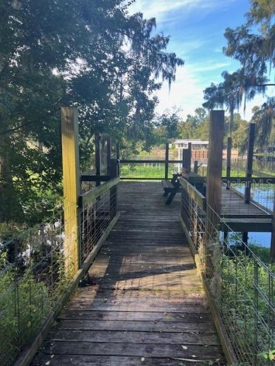 1117 Piney Woods Trail, Osteen, FL 32764 Photo