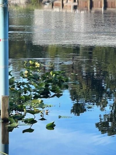 1117 Piney Woods Trail, Osteen, FL 32764 Photo