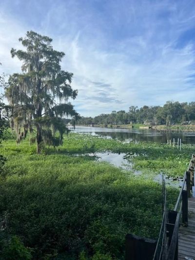 1117 Piney Woods Trail, Osteen, FL 32764 Photo