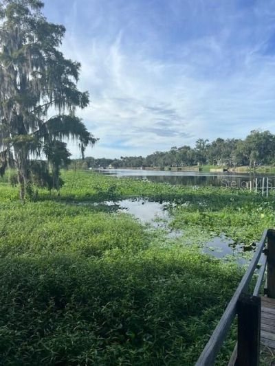 1117 Piney Woods Trail, Osteen, FL 32764 Photo