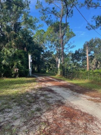 1117 Piney Woods Trail, Osteen, FL 32764 Photo