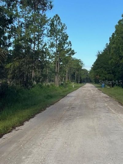 1117 Piney Woods Trail, Osteen, FL 32764 Photo